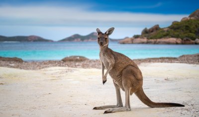 Een trip naar Aussie land!